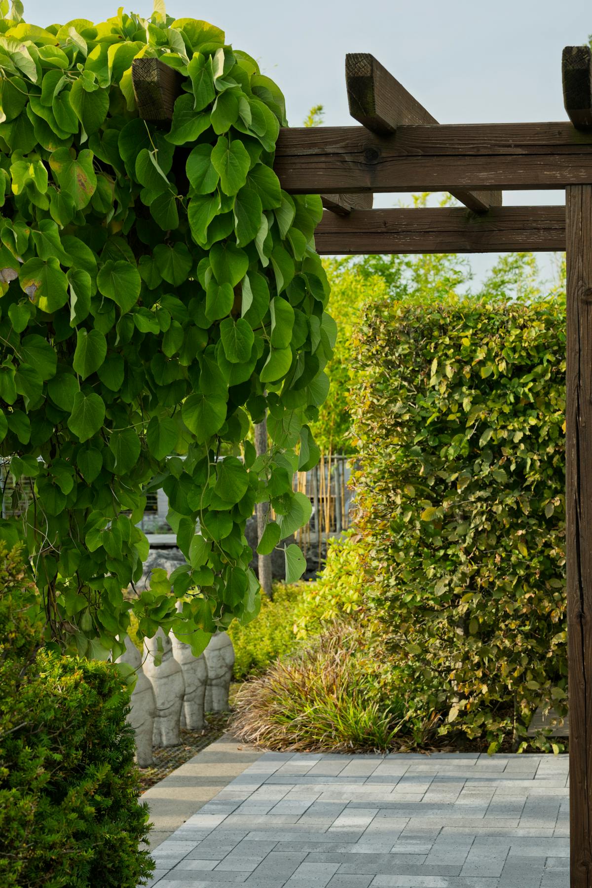 Pergola et aménagement paysager à Castagniers